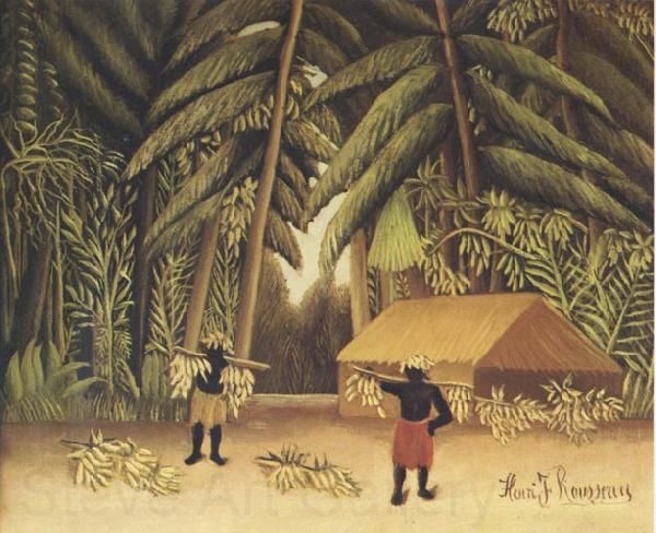 Henri Rousseau The Banana Harvest Norge oil painting art
